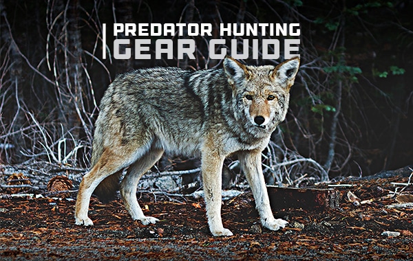 HuntStand's Ultimate Predator Hunting Gear Guide - HuntStand