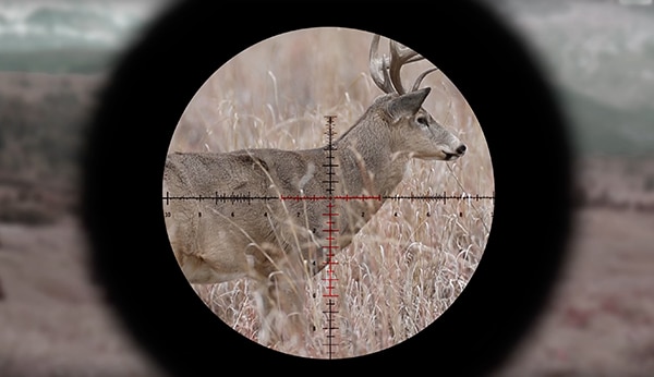 Understanding First Vs. Second Focal Plane Reticles - Huntstand