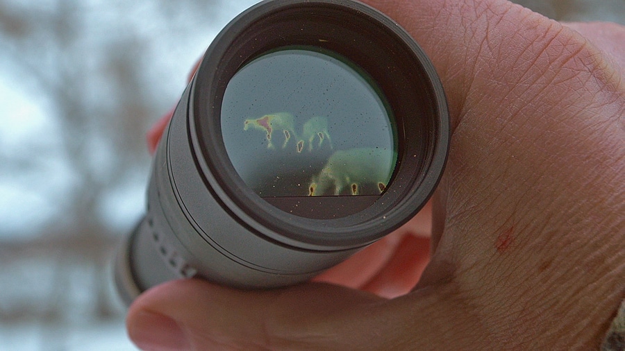 Bowhunting With Thermal Optics [Leupold LTOTracker] HuntStand