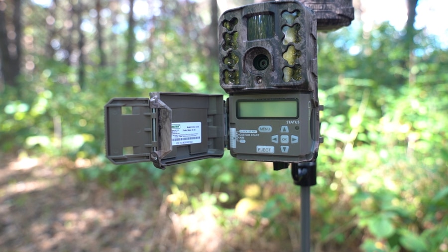 Deer Hunters: Try This 1-2 Approach To Game Cameras - HuntStand