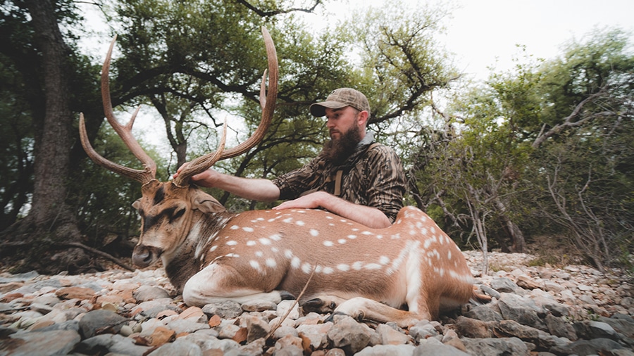 "Lone Star Chital" Hunting Axis Deer In South Texas HuntStand