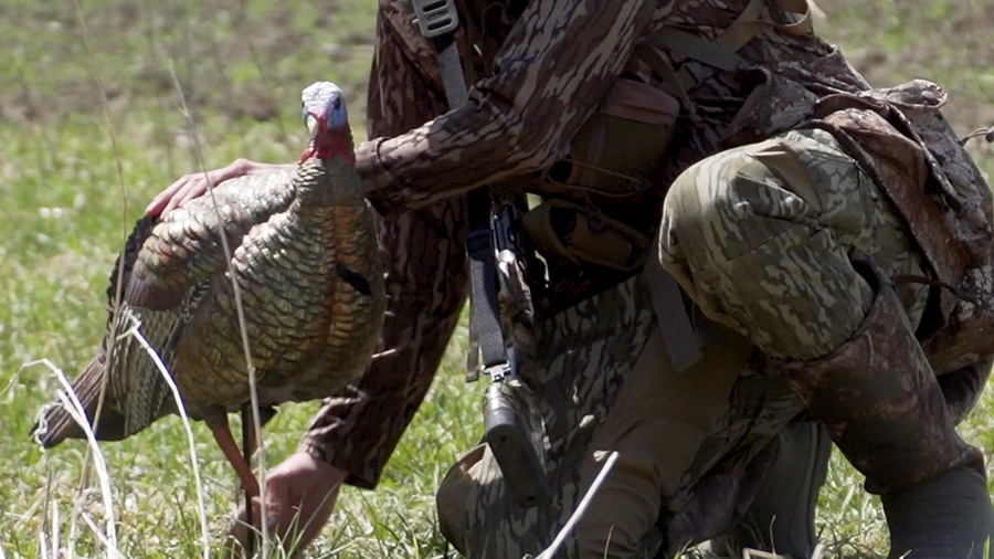 Turkey Hunting Tip Are You Putting Decoys Close Enough? HuntStand