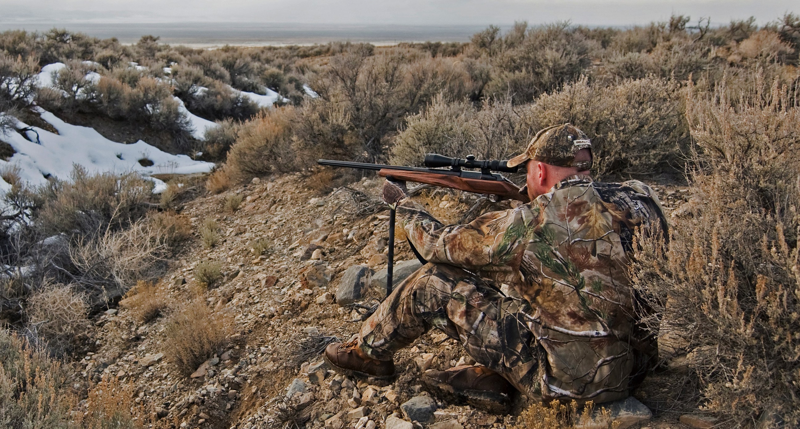 Western coyote hunting
