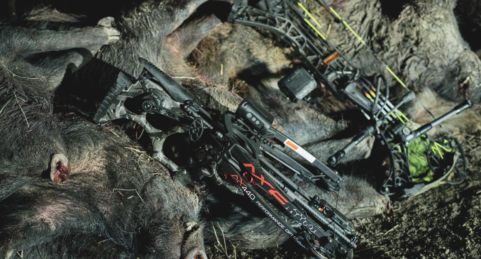 Covert Sight On Bow and Crossbow