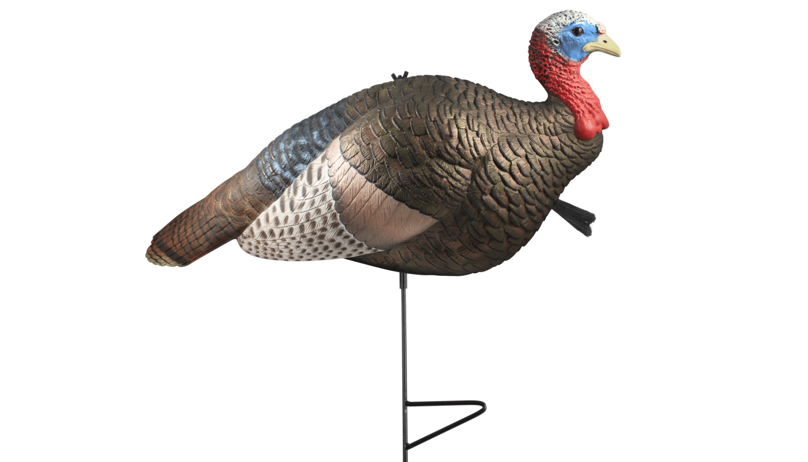 にの Kawasaki-Collar-Washer-