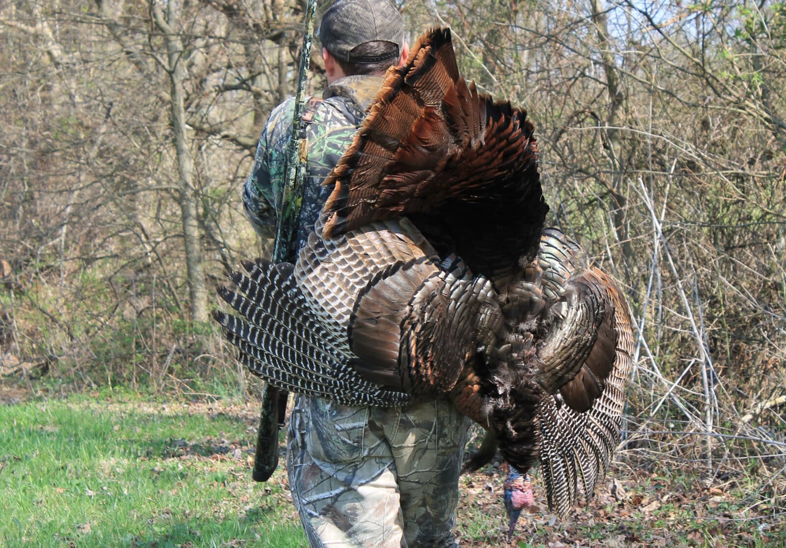 Out of state turkey success