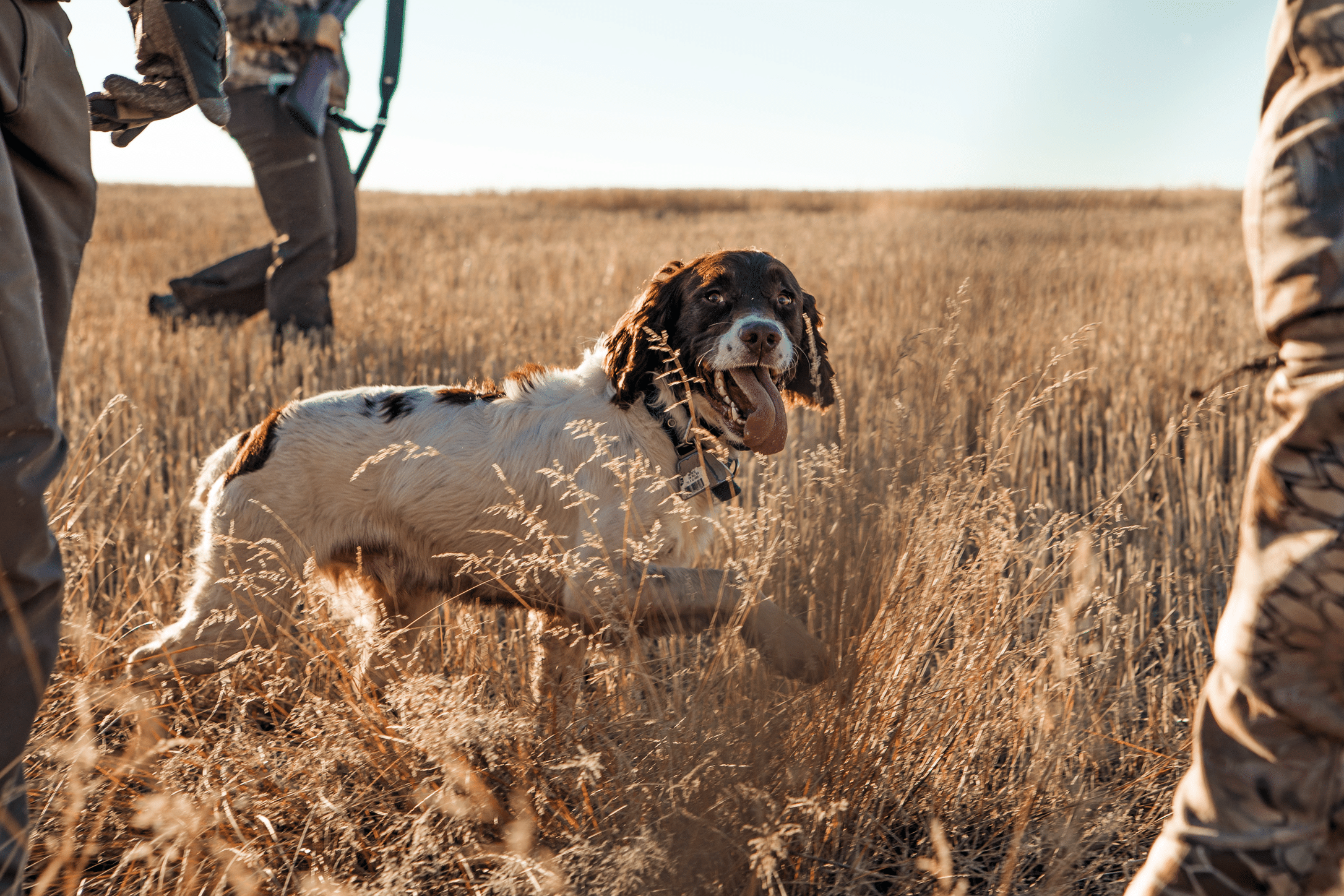 AcrePro Upland Hunting
