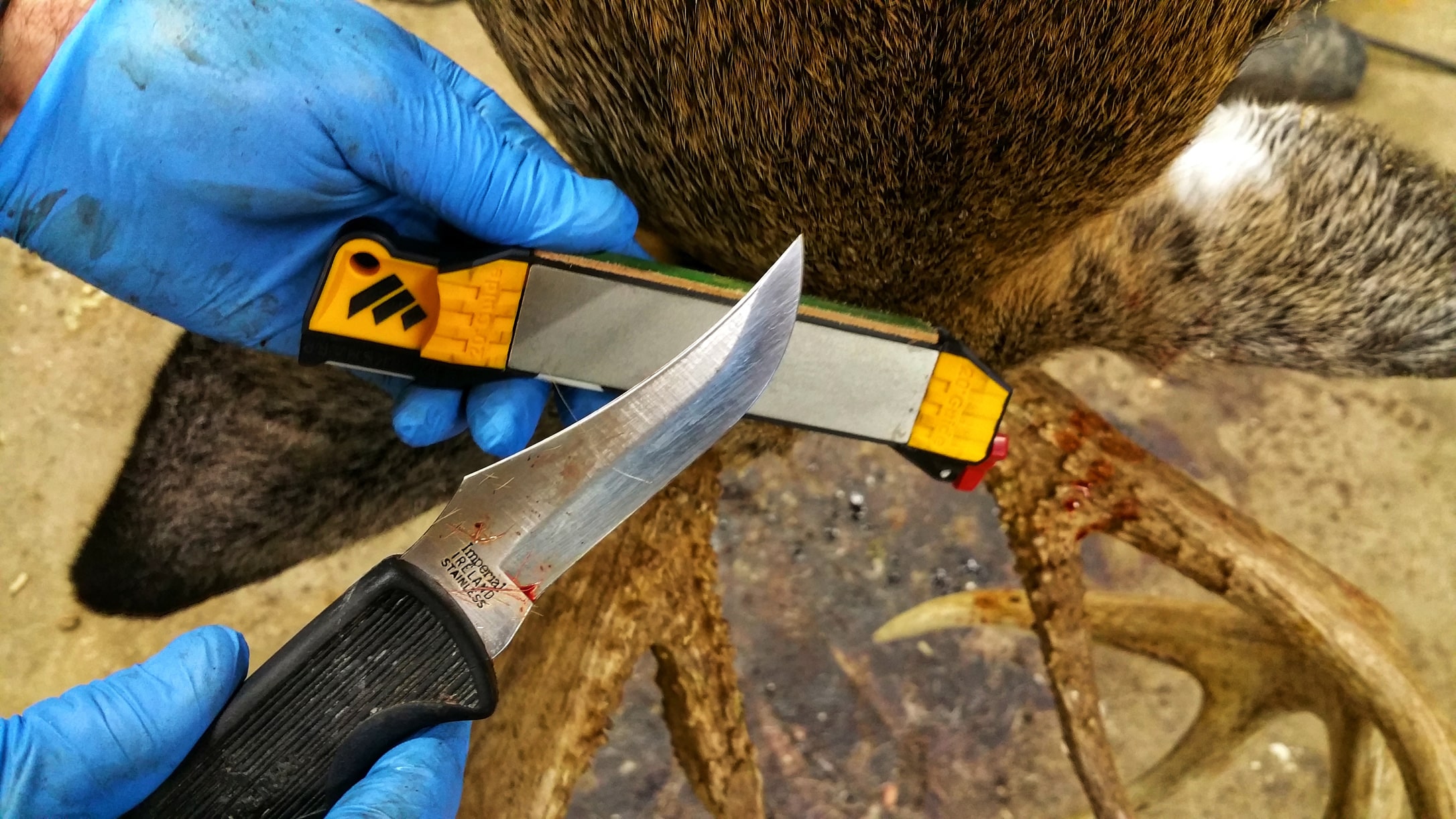 Expert Tips for Choosing a Hunting Knife - HuntStand