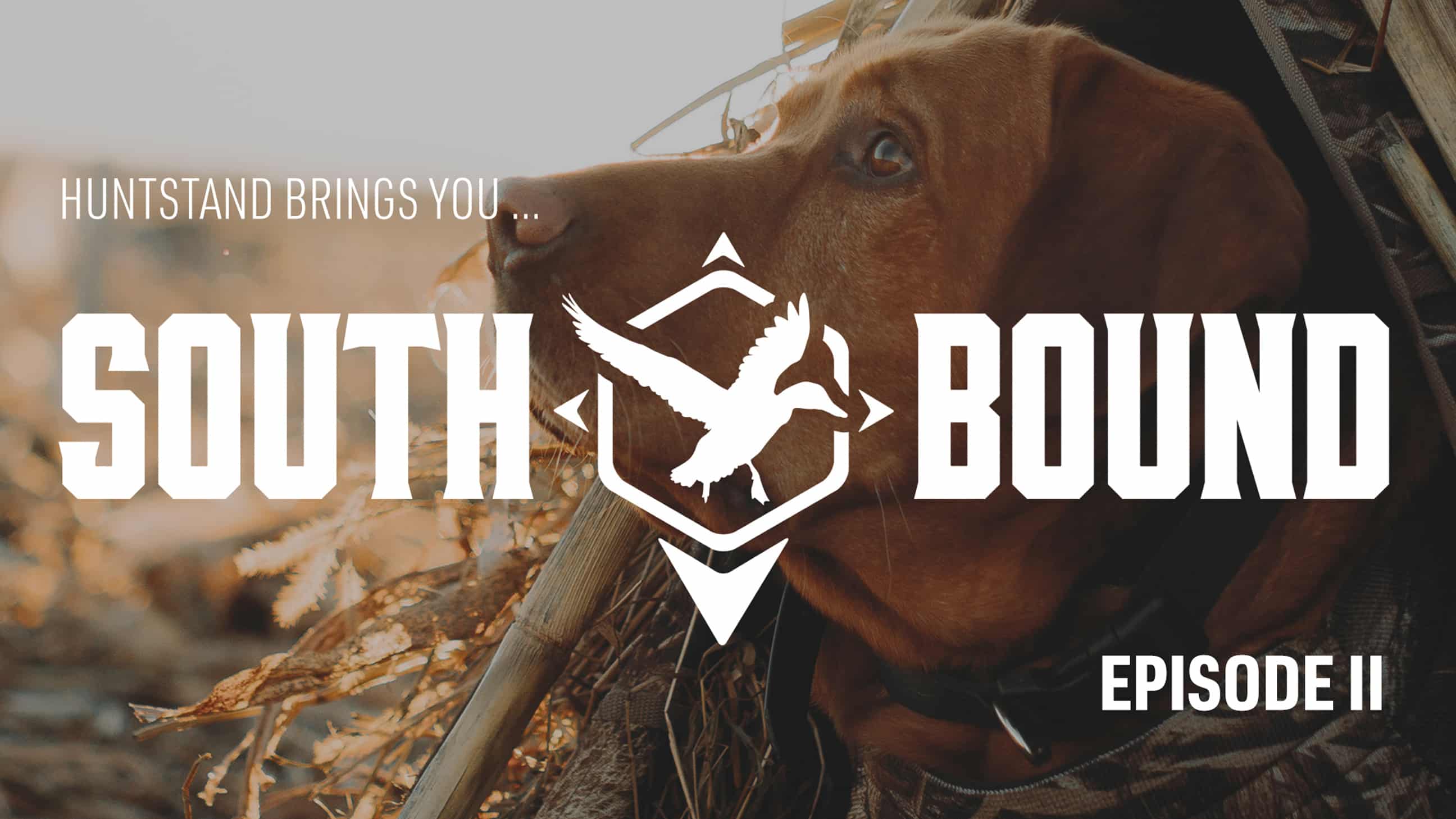 Southbound Episode 2 Lead