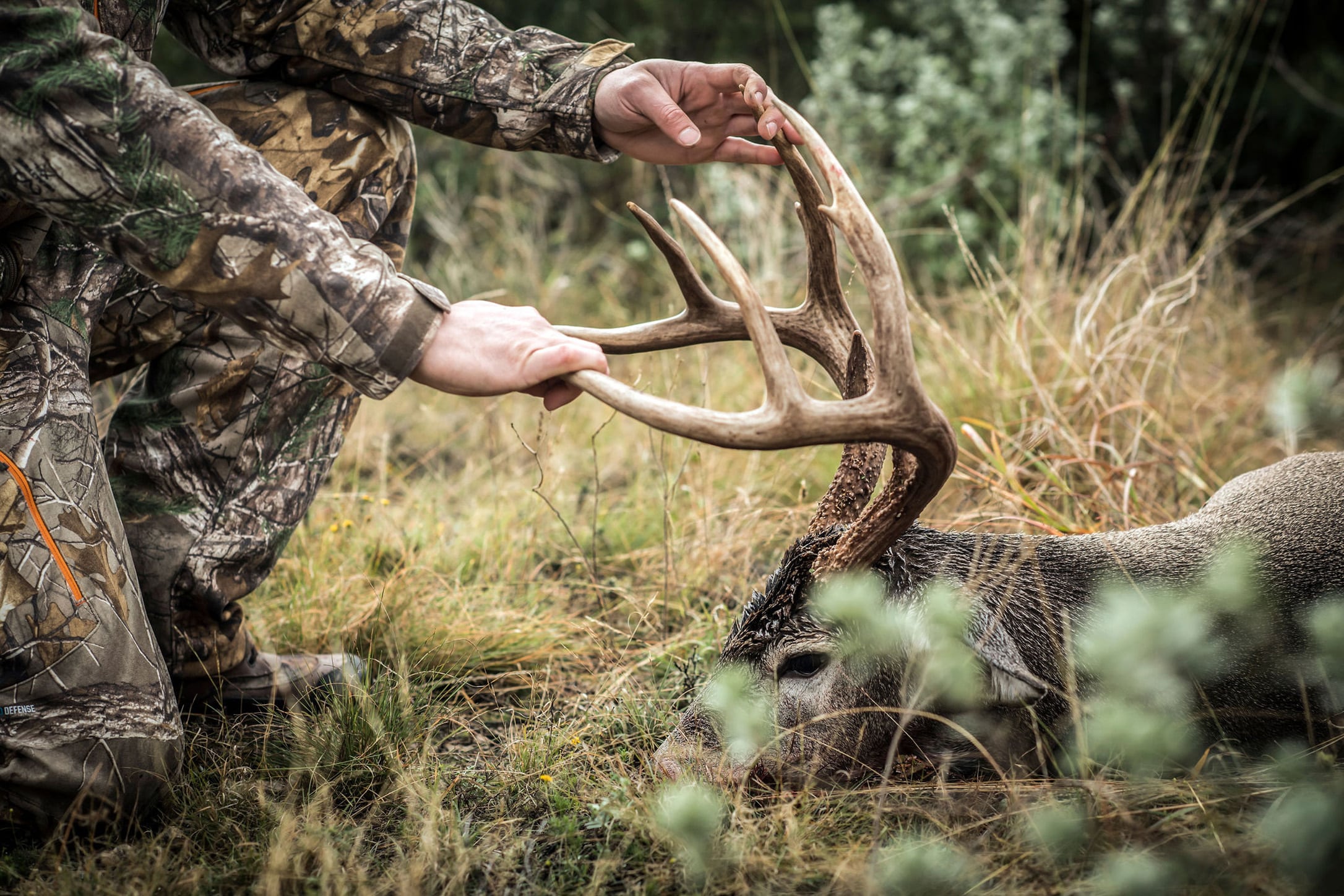 Next-Level Deer Hunting With NEW HuntStand Pro Whitetail - HuntStand