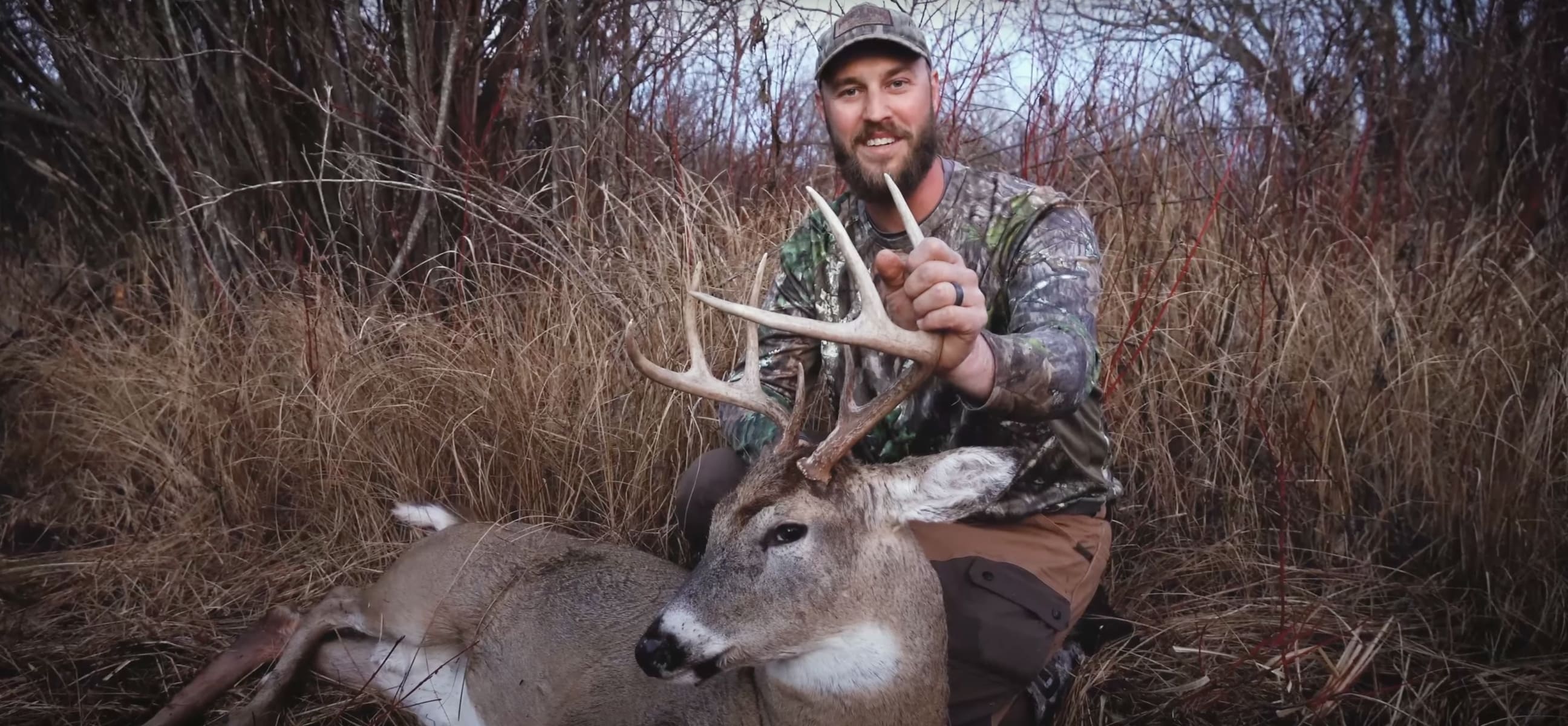 minnesota public land buck