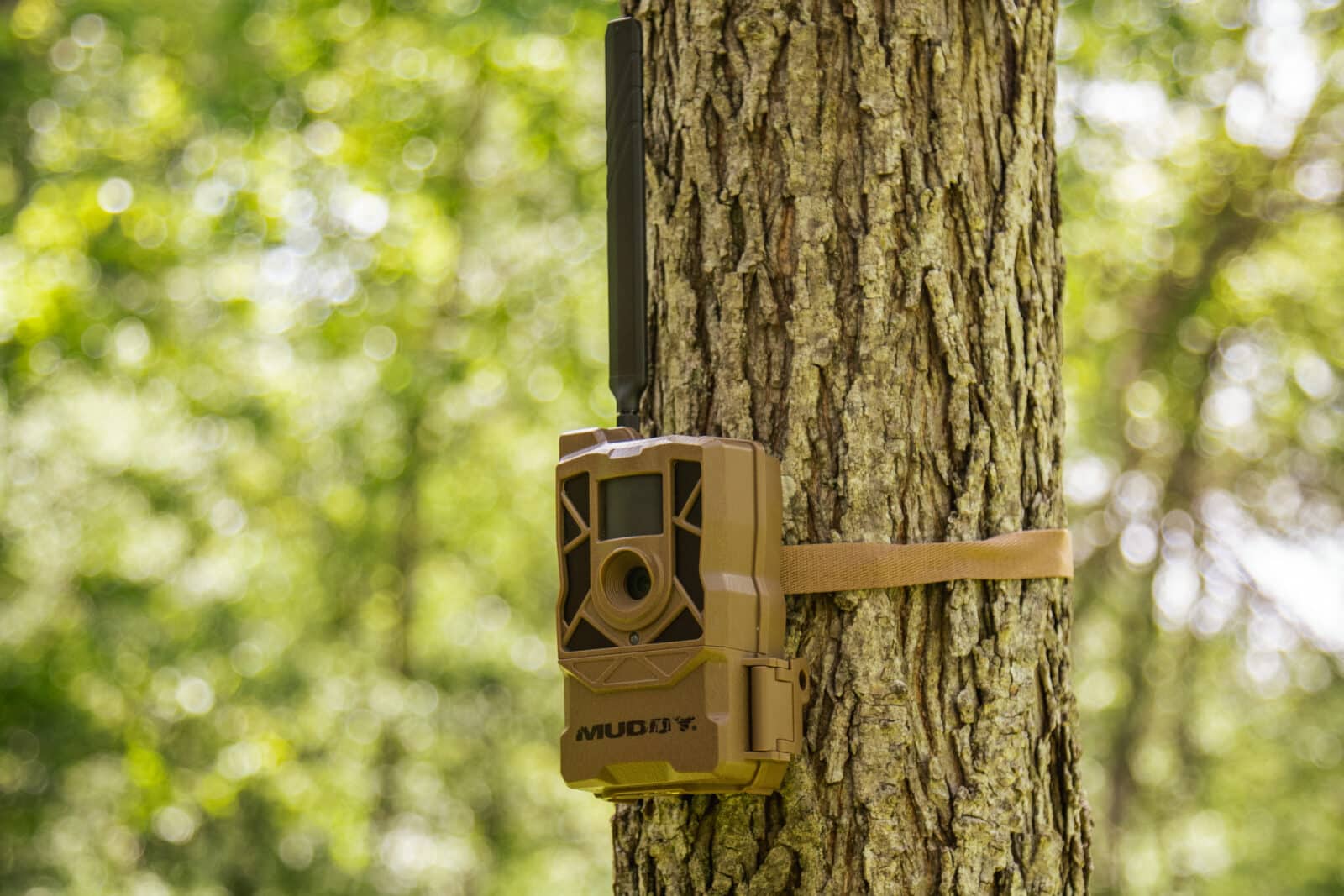 muddy morph cellular trail camera