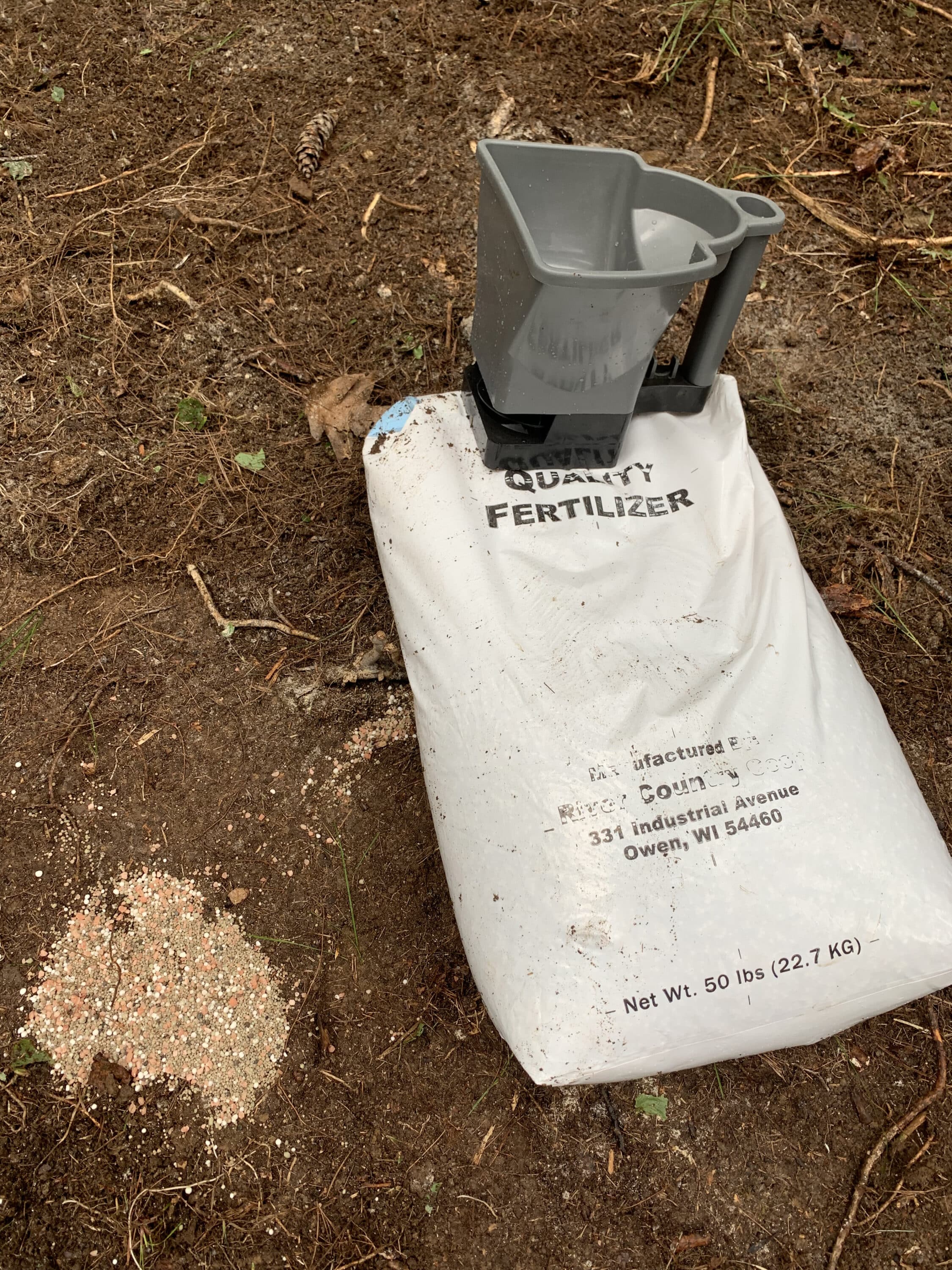Before planting, broadcast the fertilizer recommended by your seed supplier for your specific plant-ing and then rake it into the soil prior to planting.