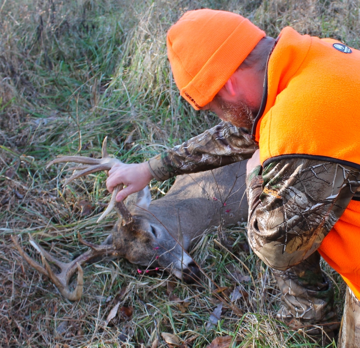 15 Questions Food Plotters Need Answers To HuntStand