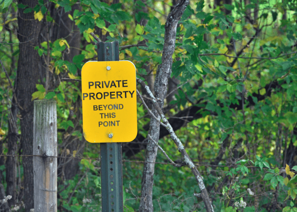 Trail Cam Spots for Public-Land Deer Hunters