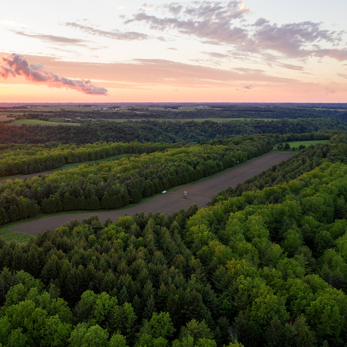 Total Whitetail Property Makeover Contest