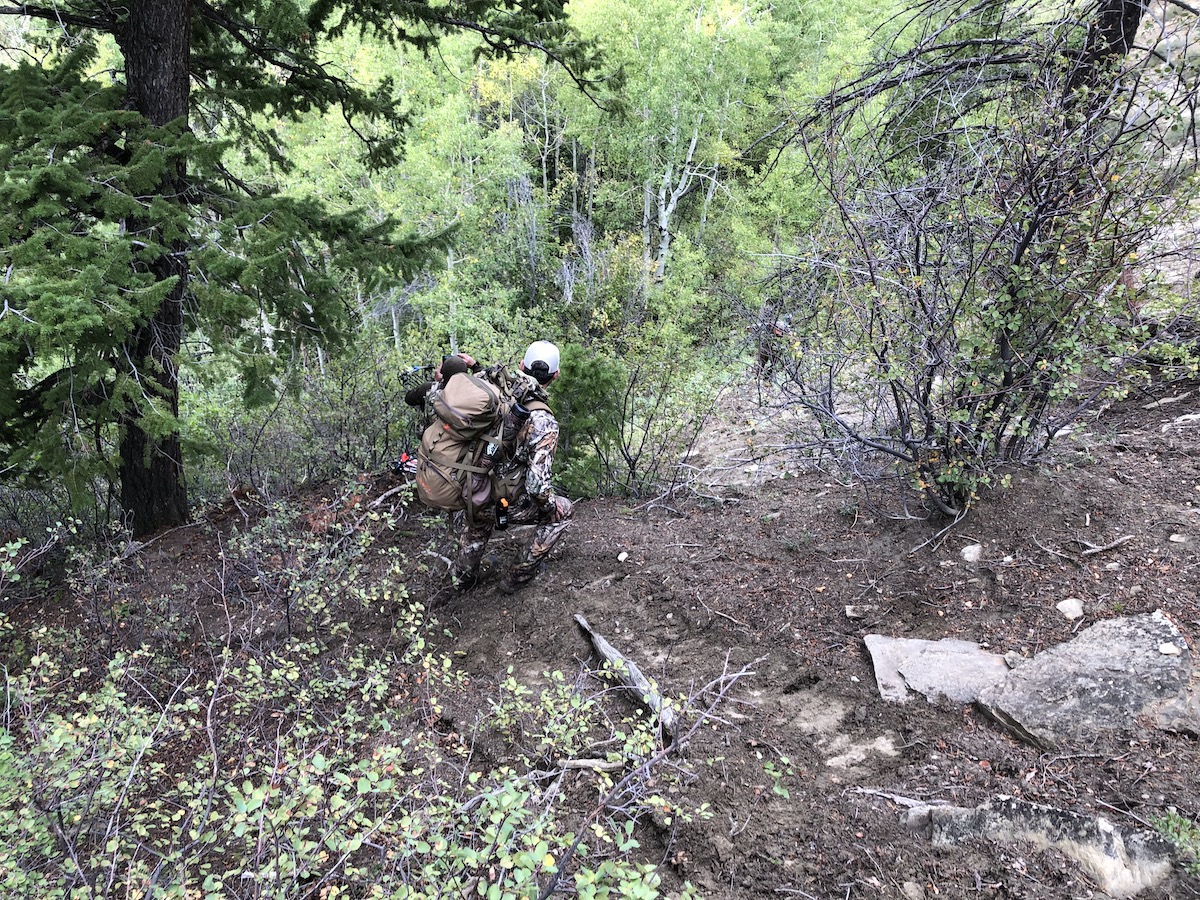 Public Land Elk Hunting: A Guidebook to Reality