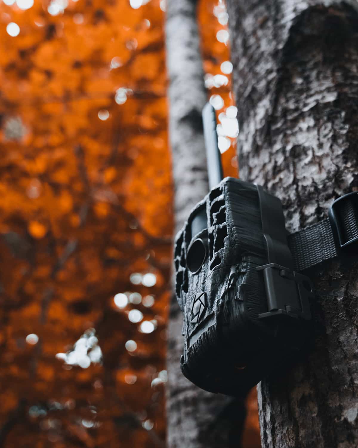 Free Stealth Cam Reactor