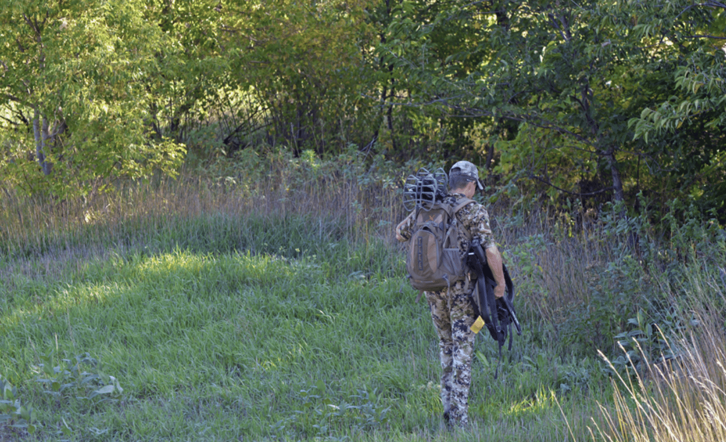 Bowhunting Whitetails