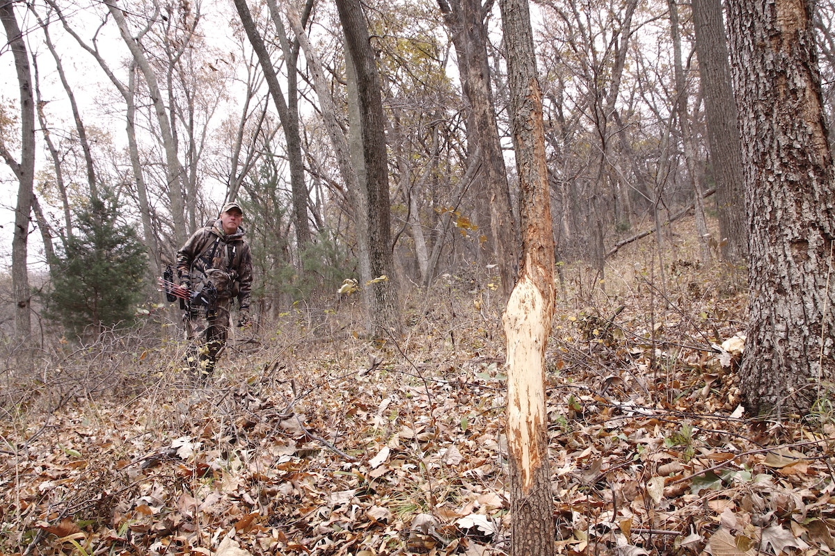 Reasons You Don’t Fill Your Deer Tags