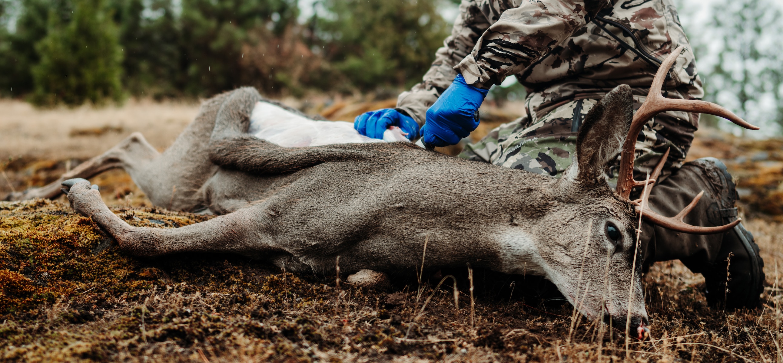 https://assets.huntstand.com/wp-content/uploads/2023/09/Best-Knives-and-Saws-for-Deer-Hunters-1.jpg