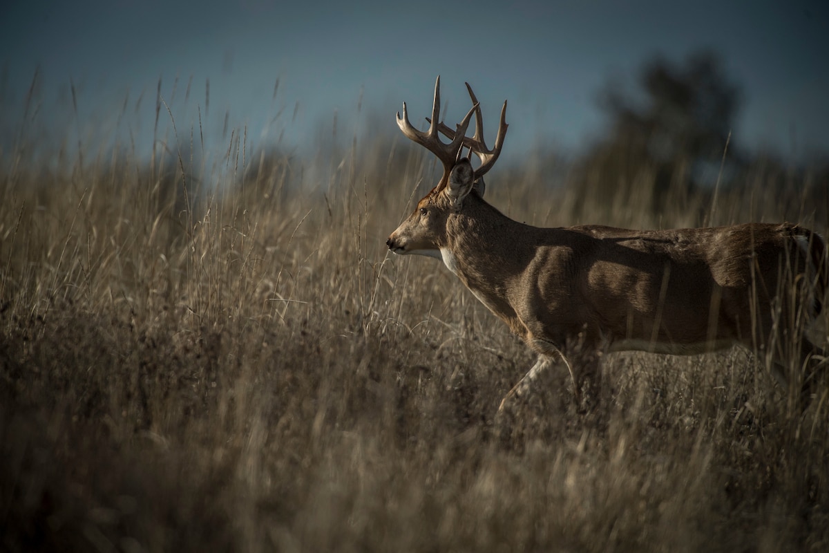 15 Ways You Aren’t Using HuntStand Pro Whitetail, But Should Be - HuntStand