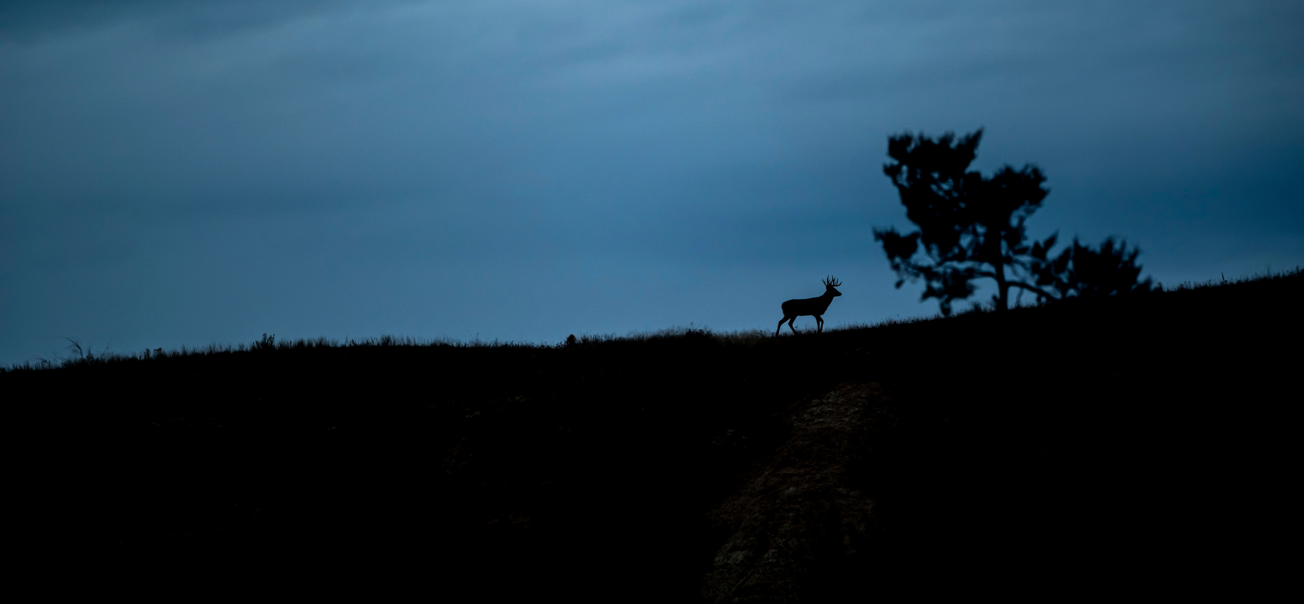 HOW TO FIND BUCKS IN LATE SEASON visual data 7