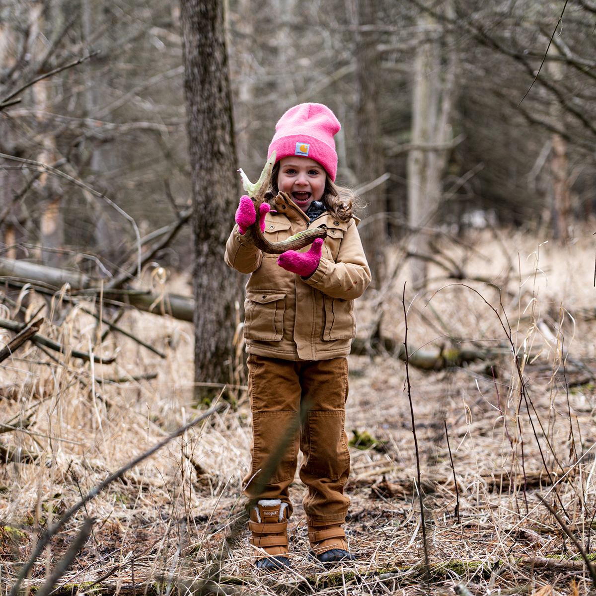 Shedhunt 24
