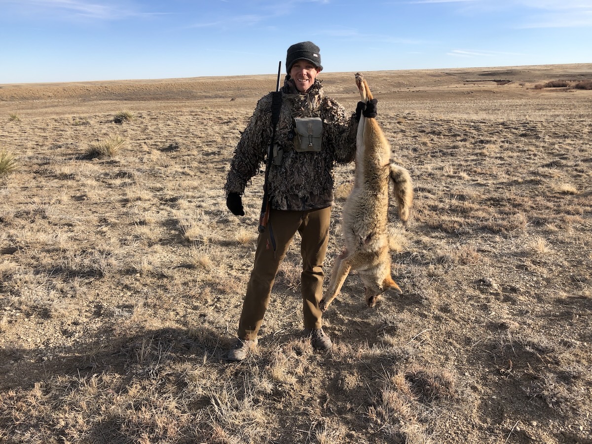 Hunt Coyotes During The Mating Season