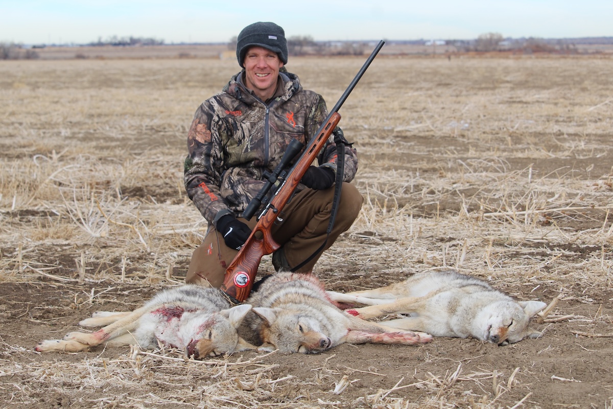 How to Hunt Public-Land Coyotes