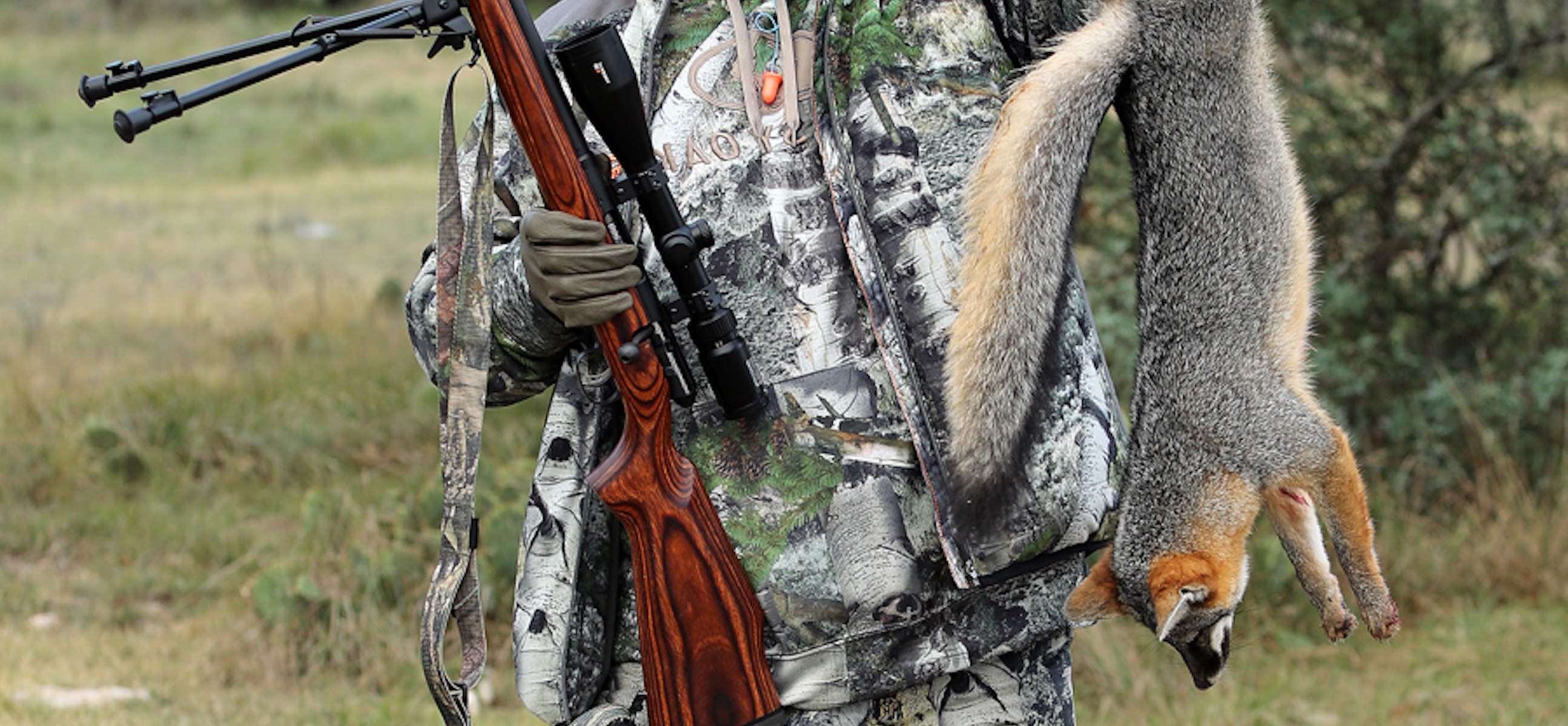 Wintertime Gray Fox Hunting Tips Huntstand