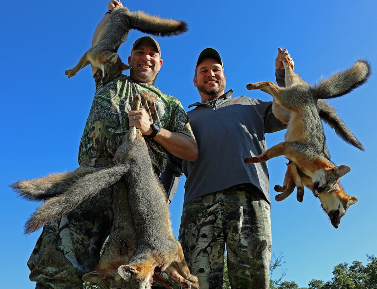 Wintertime Gray Fox Hunting Tips - HuntStand