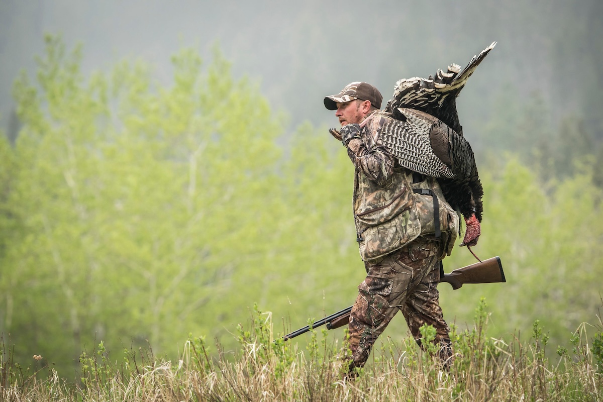 Western Big Game Draws Deadlines and Details by State HuntStand