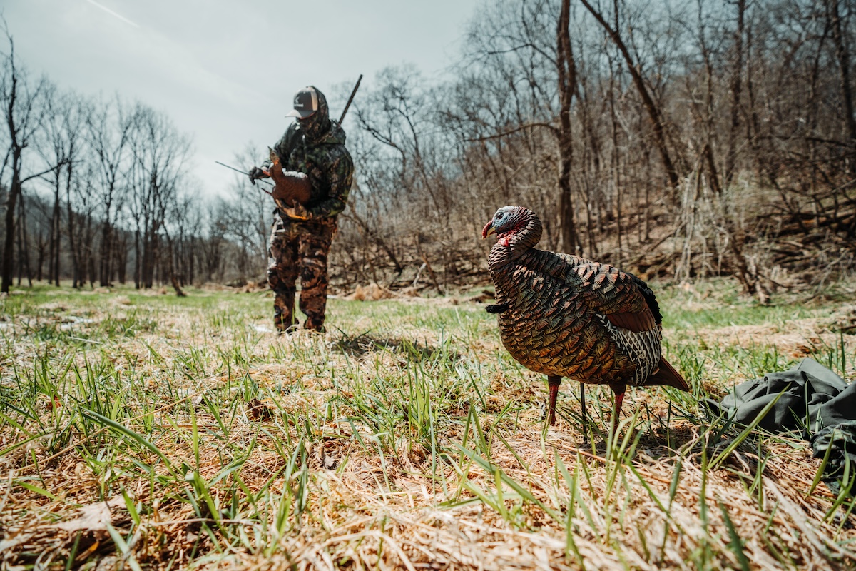 A Better Turkey Hunter 15