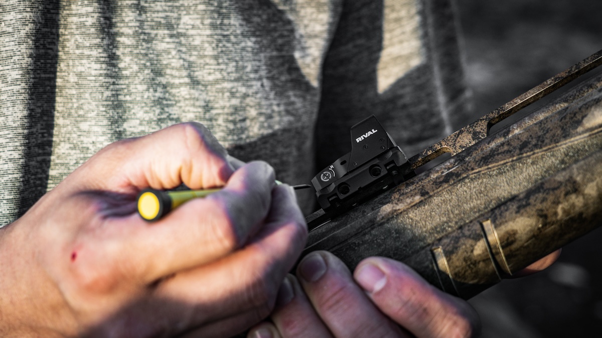 The Best Turkey Hunting States