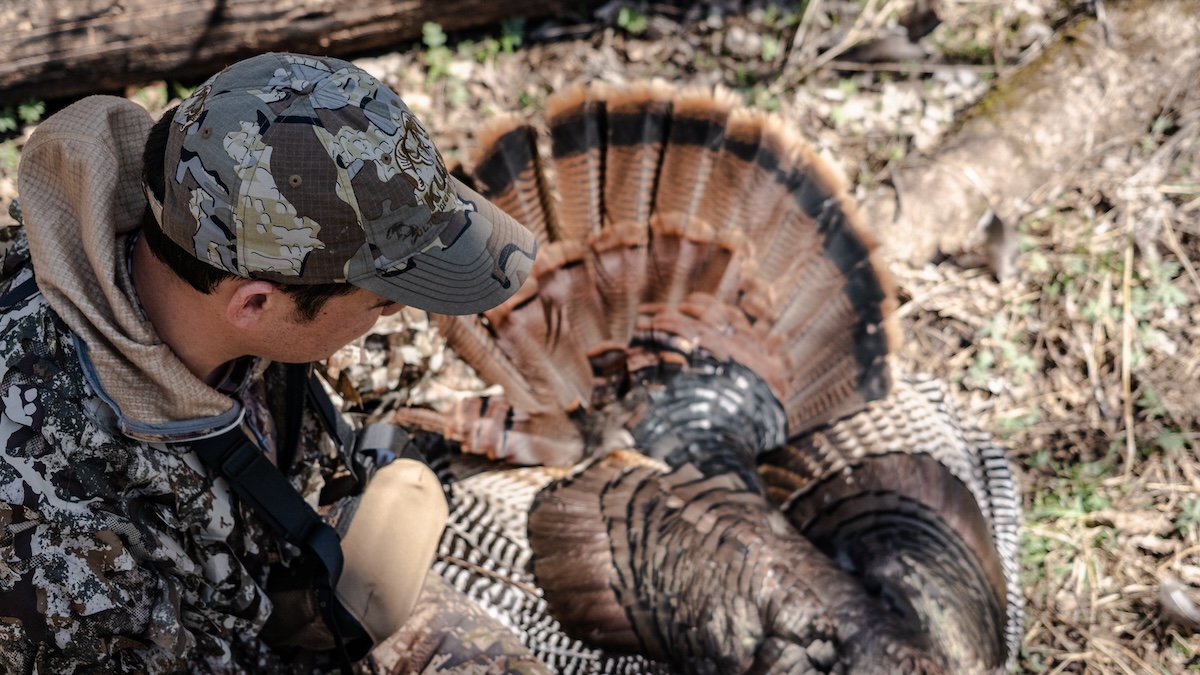 The Best Turkey Hunting States