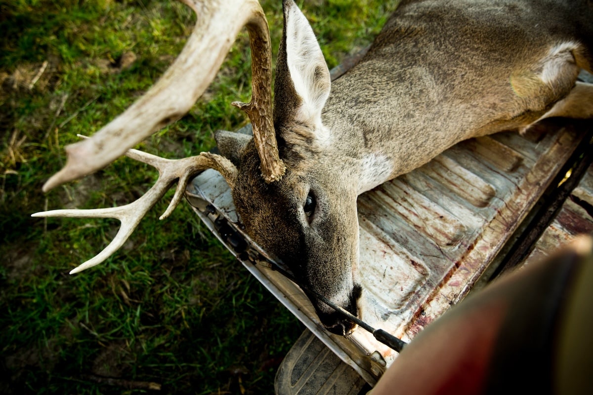 How to Plan and Plant the Best Food Plot for Deer HuntStand
