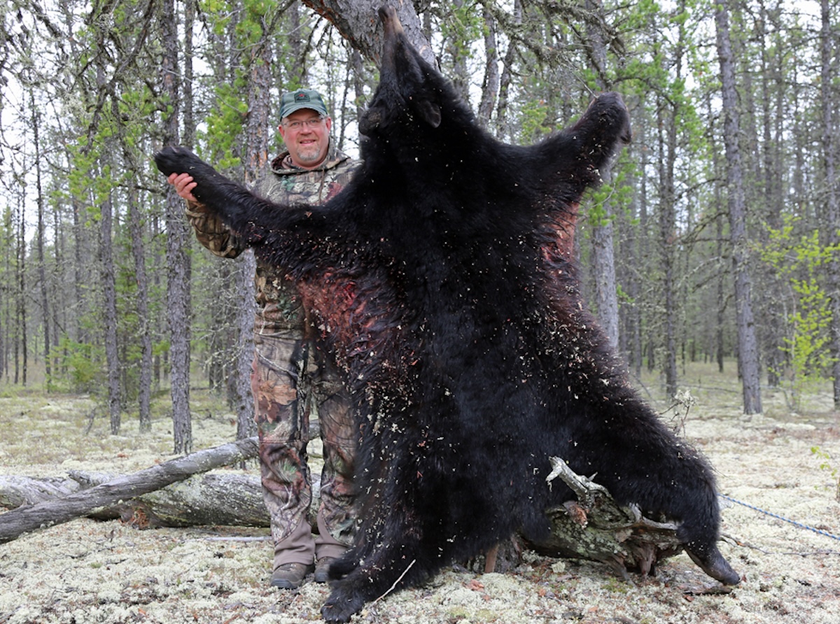 Record Bears 10