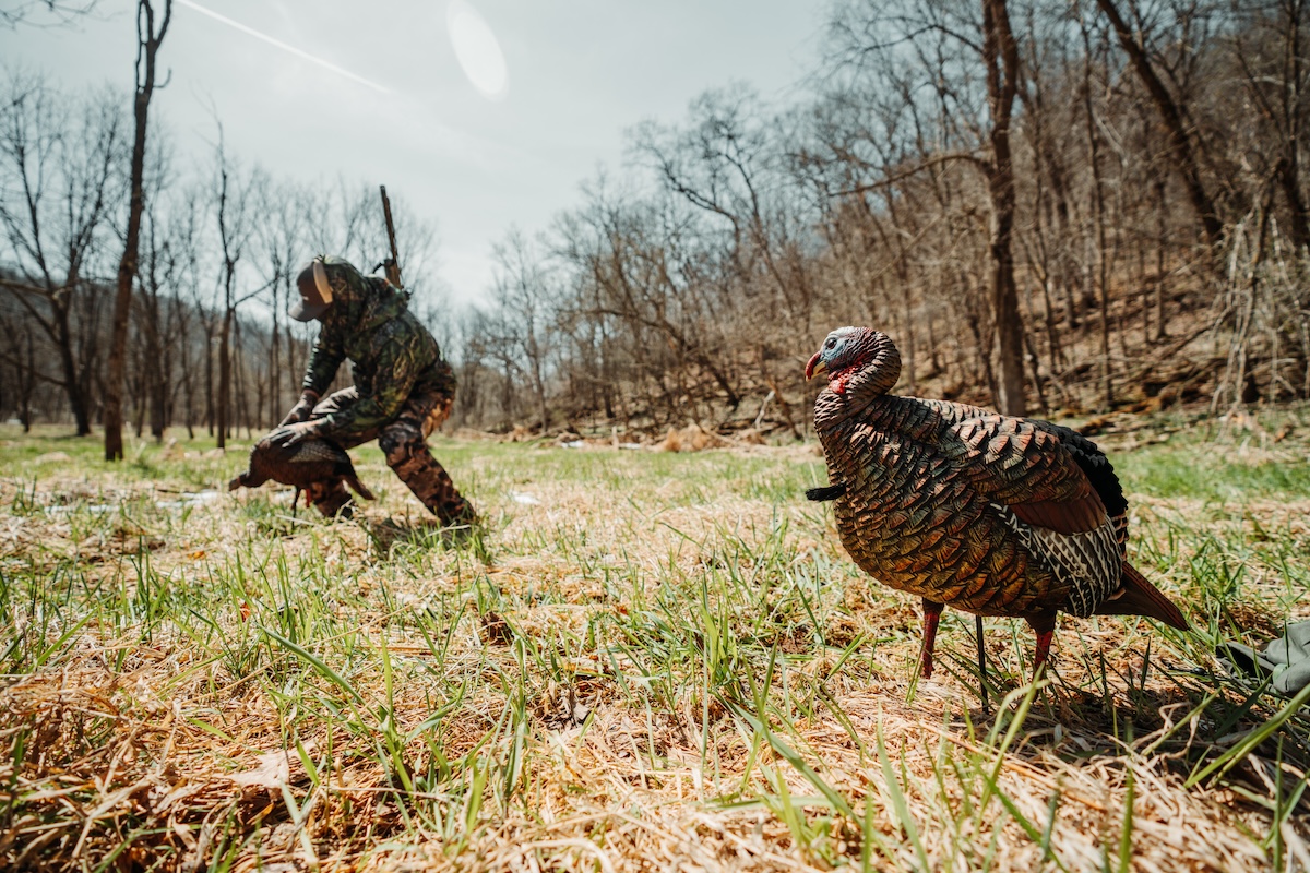 40 Foremost PublicLand Turkey Hunting Rules to Follow HuntStand