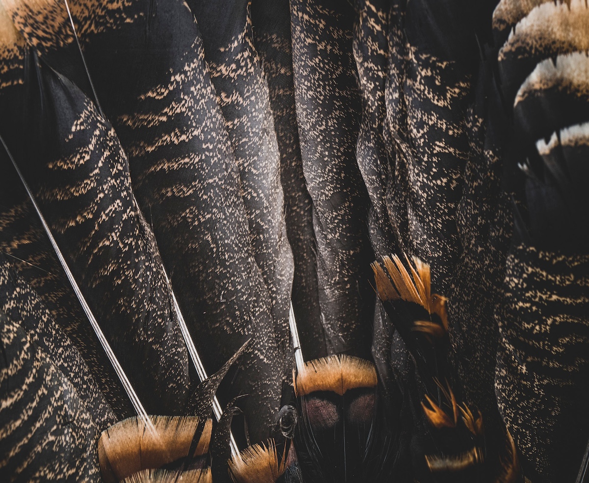 40 Foremost PublicLand Turkey Hunting Rules to Follow HuntStand