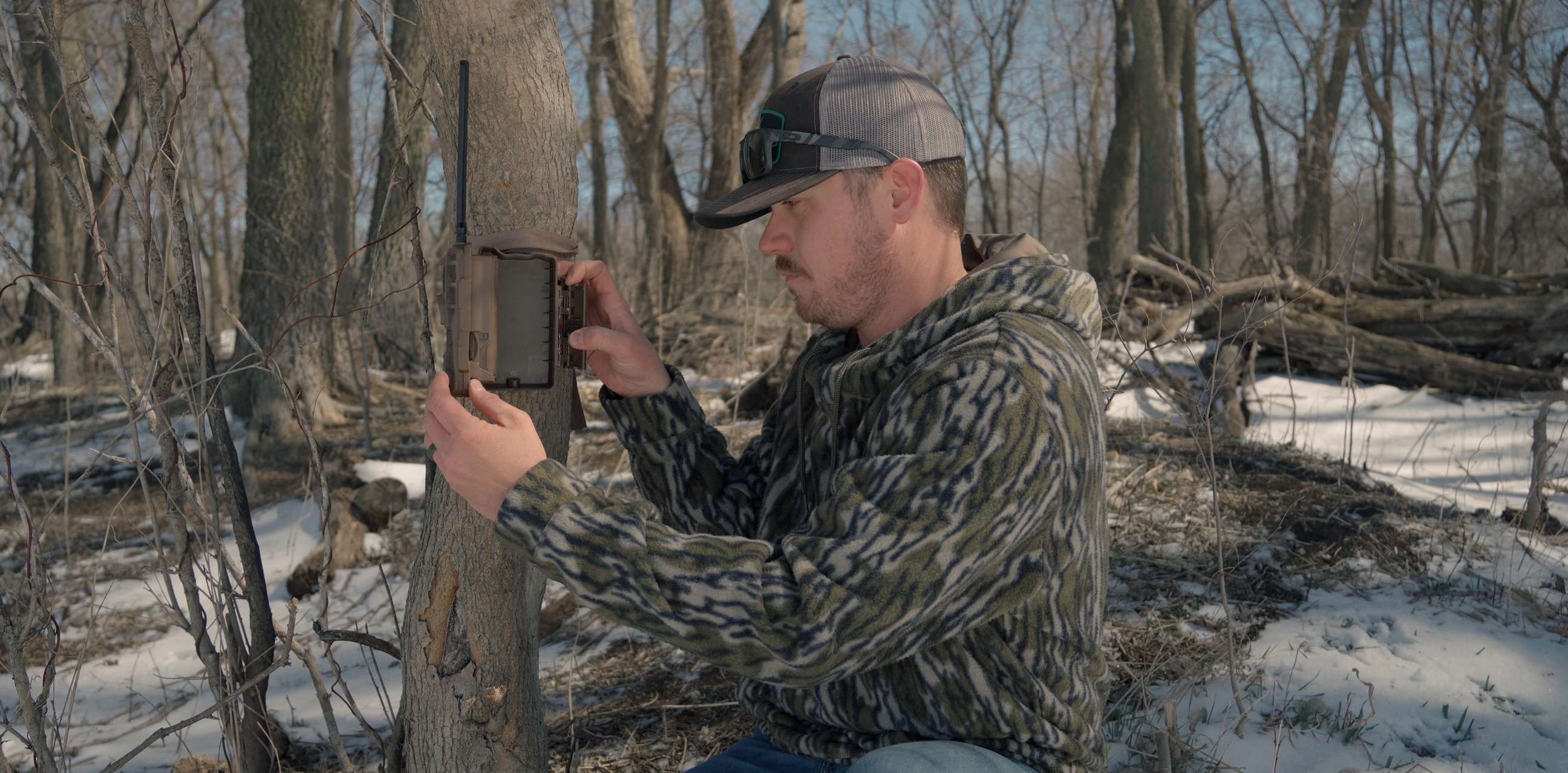 Trail Camera Scouting Tips For Turkeys