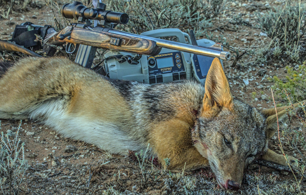 Affordable Bucket List Hunts (That Won't Break the Bank)