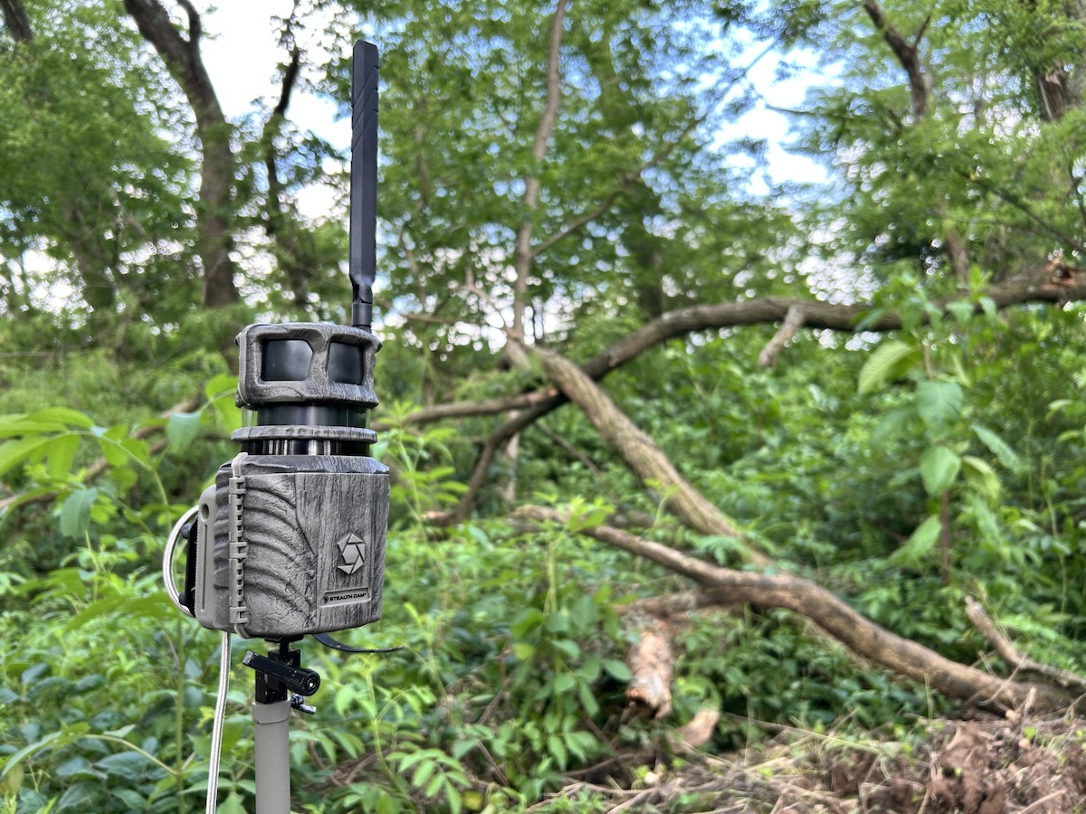 the Best Cellular Trail Camera Photos