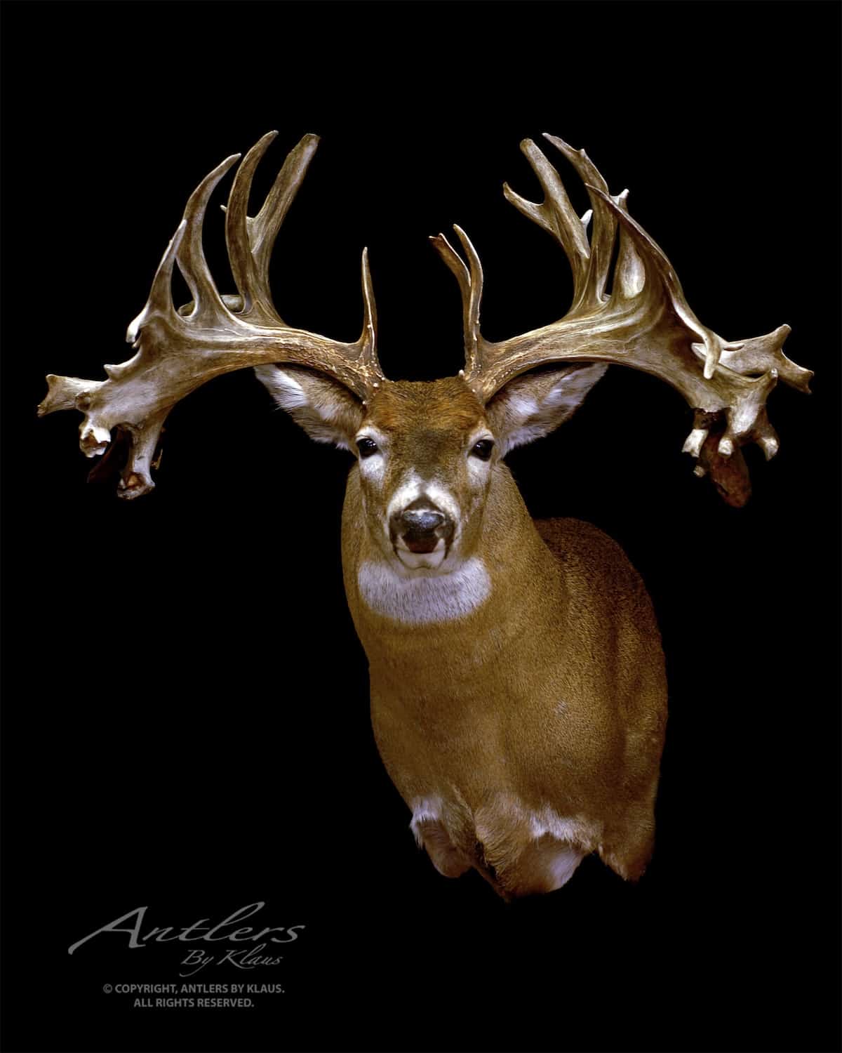The Helgie Eymundson Buck
