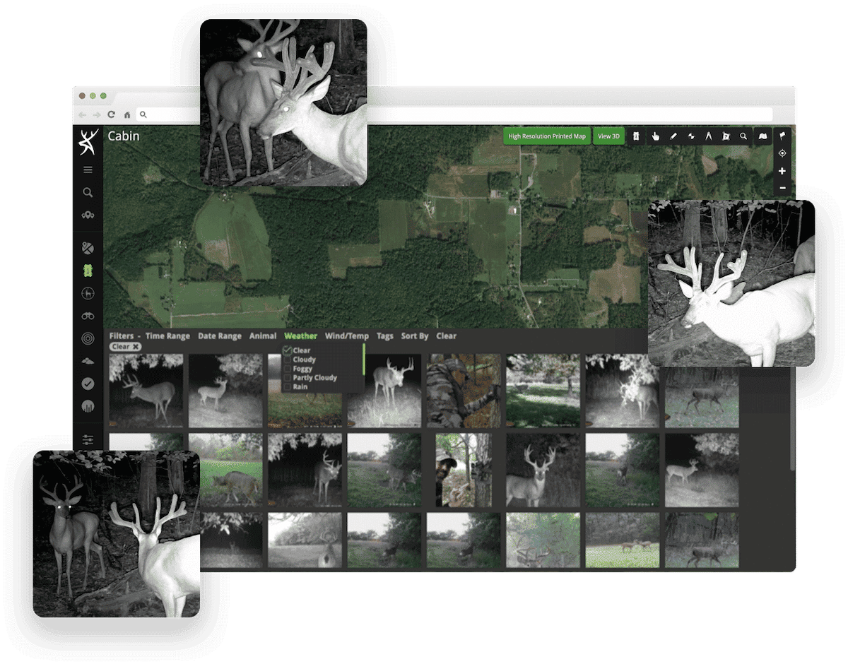 The Secrets To Growing Big Bucks 3