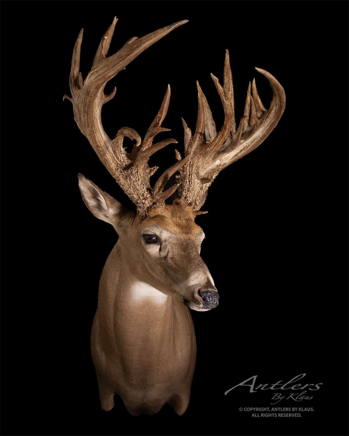 20 Huge Record Deer with Crazy Stories You Won't Believe - HuntStand