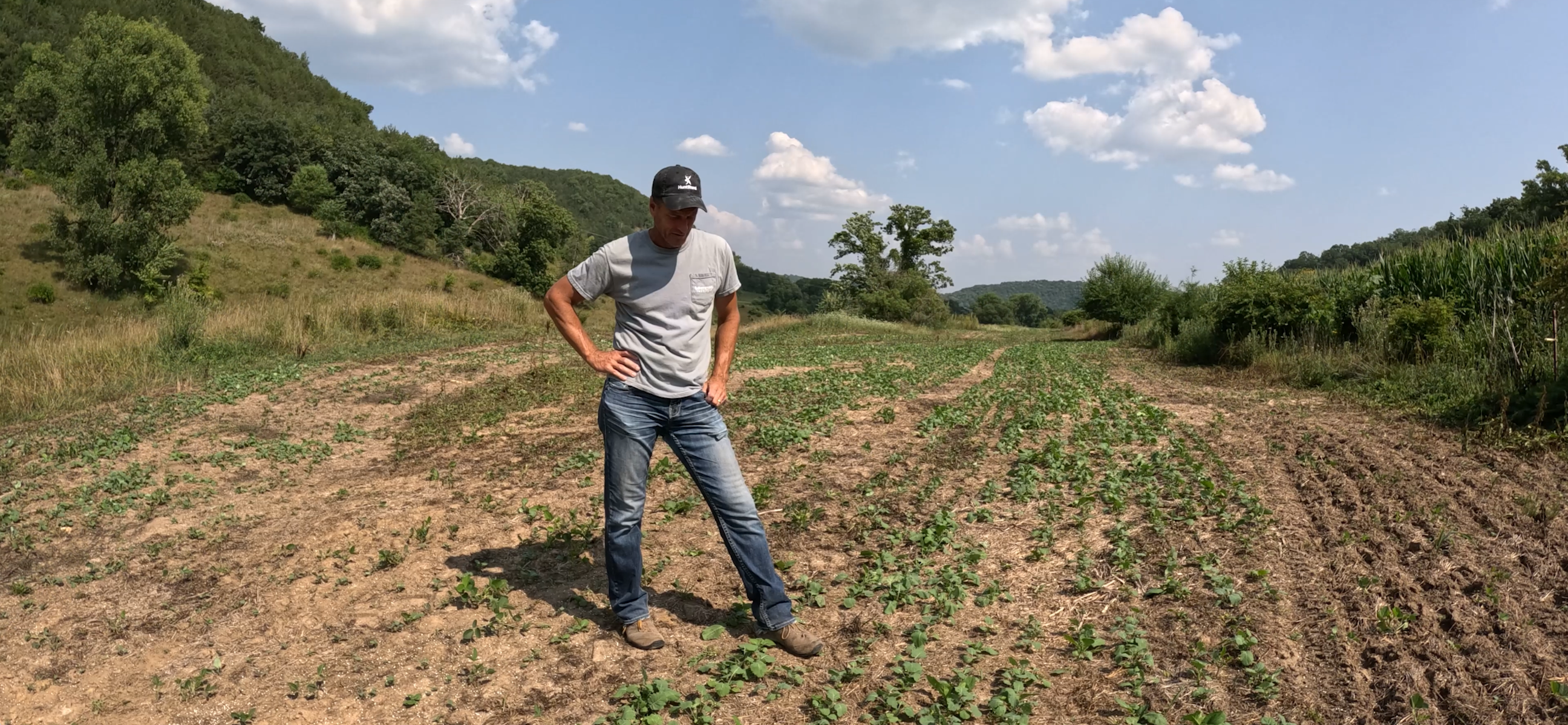 How To Rescue Failed Food Plots