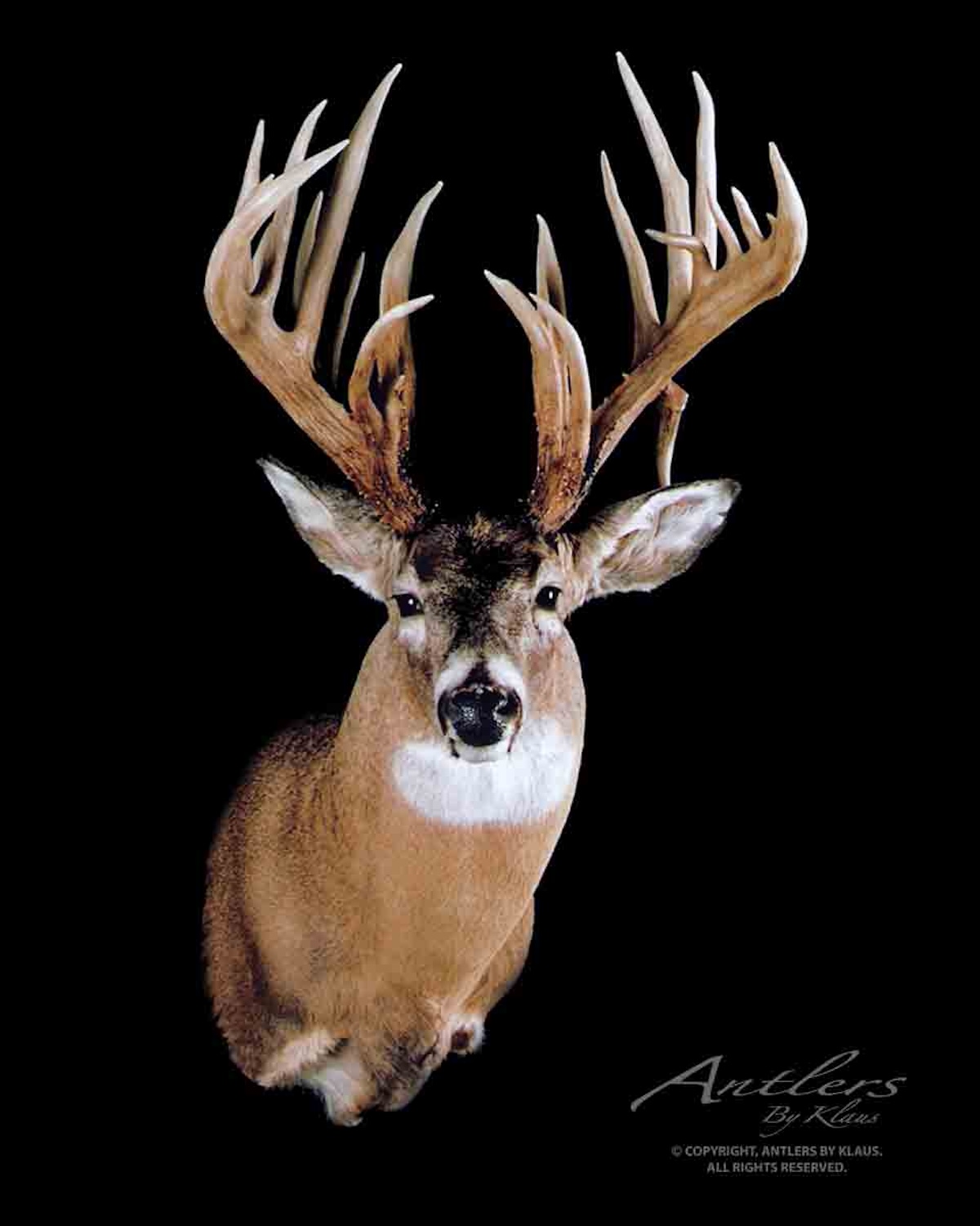 30 Monster Free-Range Bucks You Have to See to Believe - HuntStand