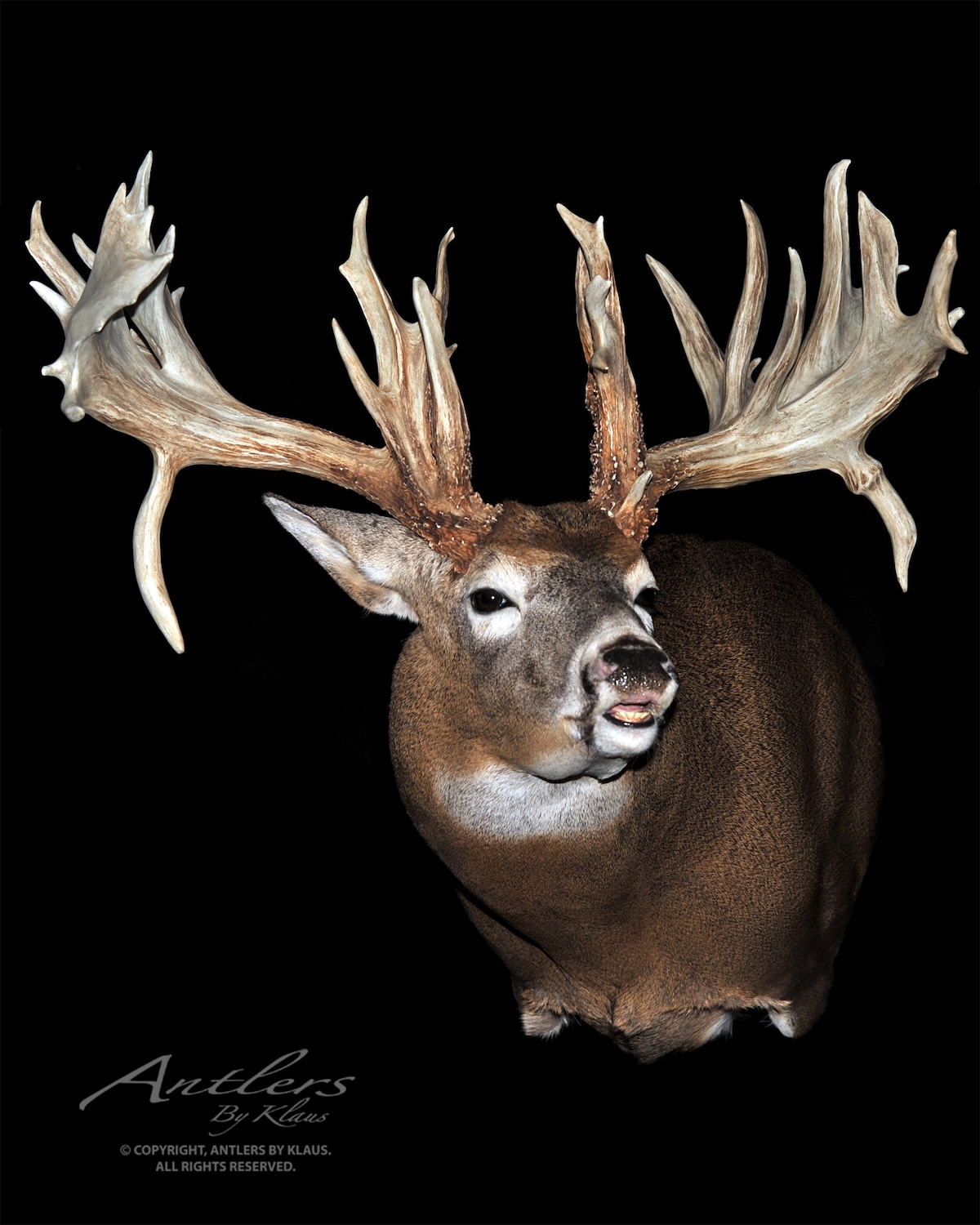 30 Monster Free-Range Bucks You Have to See to Believe - HuntStand
