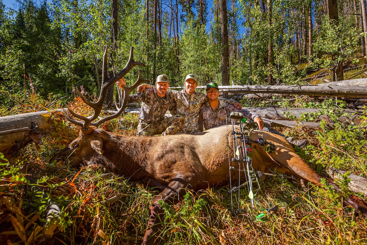 2019 Bull Hunt Elk Close 9